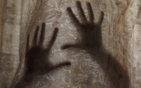 Жители Коми узнали от своей дочери-подростка, что их 34-летний друг - педофил