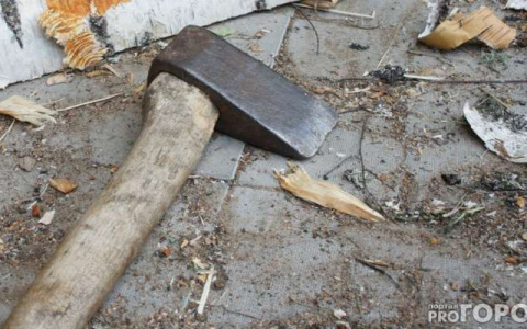 В Коми мужчина ударил брата топором по голове за «недопустимо вызывающее» поведение