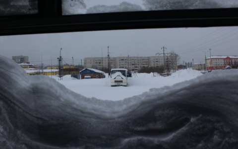 Следователи сообщили, от чего в автобусе погибла сыктывкарка