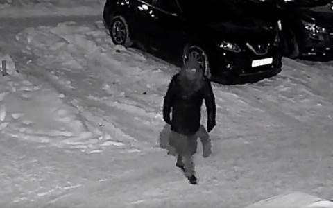 В Сыктывкаре ищут ночного поджигателя авто (видео)
