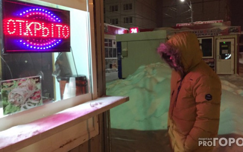 Сыктывкарская привокзальная шаурма оказалась опасной