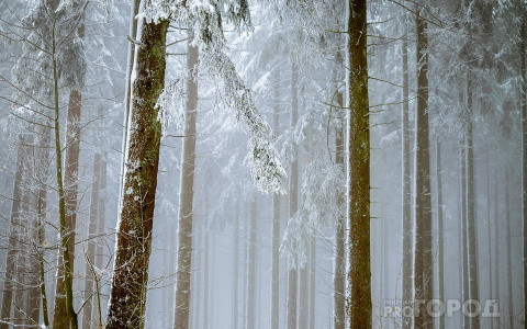 Жителей Коми предупреждают о лютых морозах