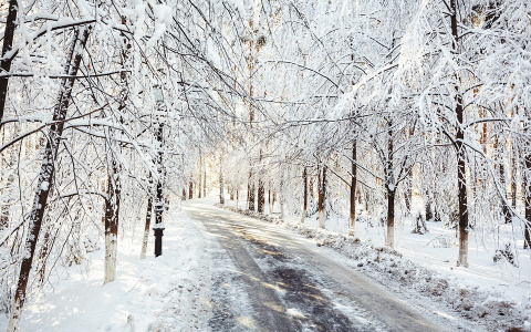 Погода в Сыктывкаре на 31 января: тепло и безветренно