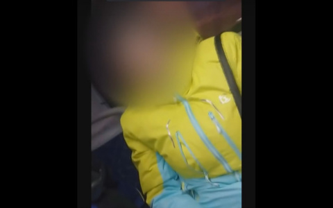 Кондуктору, который просил сыктывкарку оплатить проезд, поступают угрозы