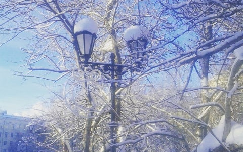 Фото дня от сыктывкарки: заснеженные фонари на Стефановской площади