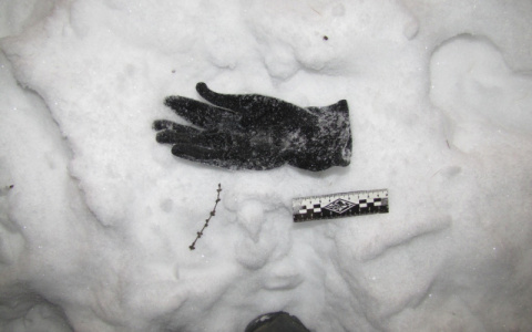 Сыктывкарца, которого укусила пенсионерка, подозревают в еще одном ограблении