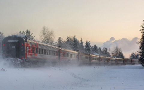 Погода в Сыктывкаре на 2 февраля: мороз и снег