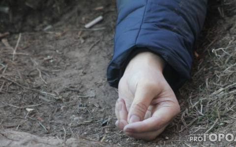 Житель Коми, который «удобрил» участок останками знакомого, получит 8 лет строгого режима