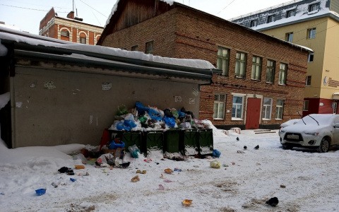 После «мусорной» реформы в одном из дворов Сыктывкара завелись крысы (фото, видео)