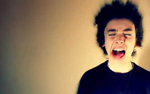 Большинству сыктывкарцев мешают шумные соседи