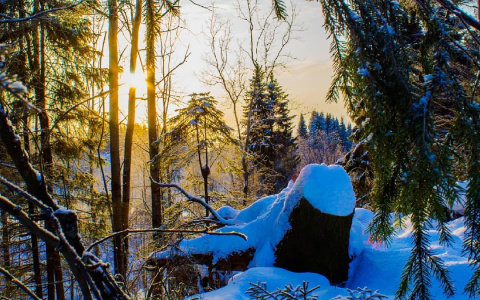Фото дня от сыктывкарца: пейзаж русской зимы