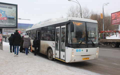 В Сыктывкаре кондуктор высадила ребенка на мороз из-за фото в проездном