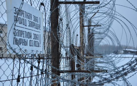 Сыктывкарец, который любил «погонять» после бутылки водки, получил год «строгача»