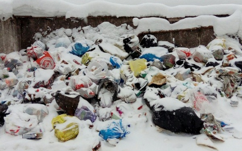 Мусорная эпопея: сыктывкарский двор две недели не могли избавить от мешков с помоями