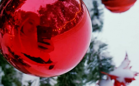 Фото дня: продолжение новогодних каникул в Сыктывкаре