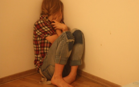 Сыктывкарцы рассказали, от чего у них мурашки по коже и панический страх