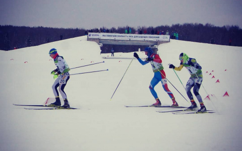 Фото дня от сыктывкарца: спортивный отдых на лыжне
