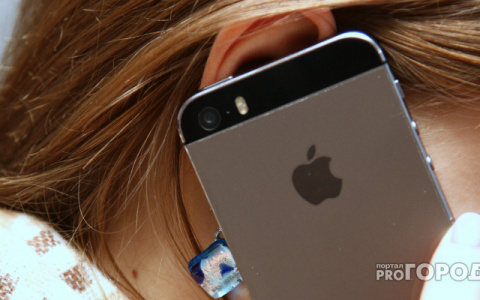 В Сыктывкаре поймали дворника-похитителя «Айфона»