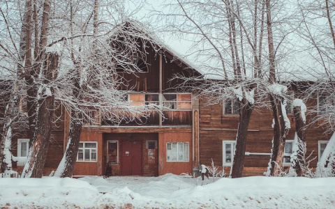 Фото дня в Сыктывкаре: отголосок прошлого века среди заснеженных тополей