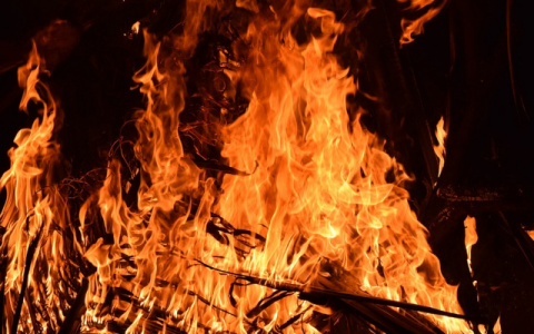 В деревне Коми пьяные посиделки закончились сожжением заживо