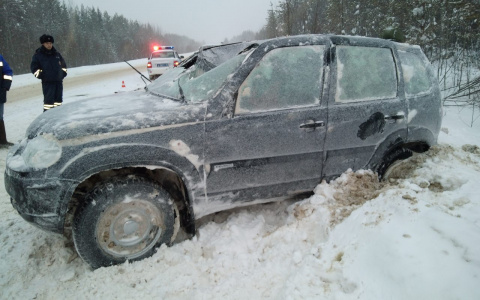 В Коми водитель «Нивы» вылетел в кювет и расшиб лоб пассажиру