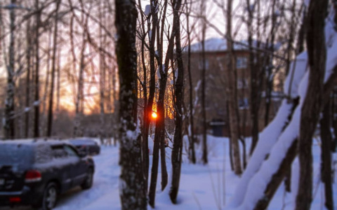 Погода в Сыктывкаре на 17 февраля: и снова снегопад