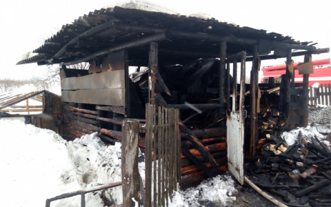 В МЧС по Коми рассказали, как топить печь, чтобы не сжечь дом