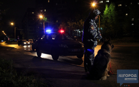 Жительница Коми потеряла семь тысяч рублей, когда покупала домашнего питомца