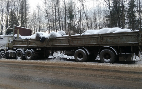 В Сыктывкаре пообещали 90 тысяч рублей тому, кто уберет незаконную свалку на одной из улиц