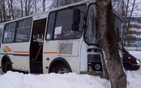 В Сыктывкаре автобус врезался в дерево, пострадала женщина