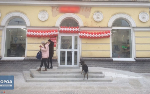 Трое сыктывкарцев зашли в магазин погреться и украли сумку