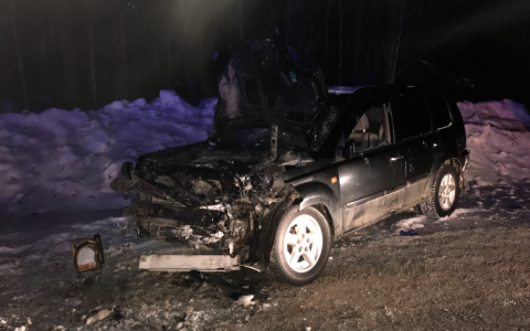 В Сыктывкаре водитель «Ниссана» превратил свое авто в хлам рядом со свалкой (фото)