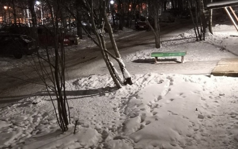 Сыктывкарский юрист рассказал что делать, если на вас напали подростки