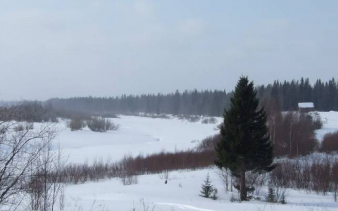 Житель Коми заработал 5 месяцев «строгача» за то, что не ночевал дома