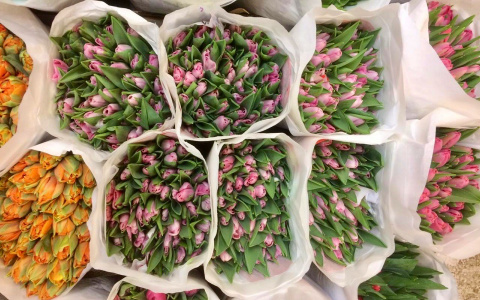 Роза - любовь, тюльпан - надежда: о чем могут рассказать цветы, которые вы подарите?