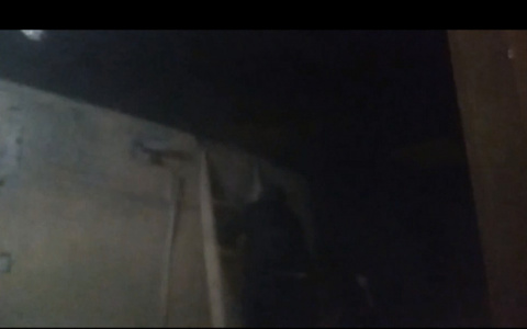 Сыктывкарский дом залило кипятком из-за аварии на чердаке (видео)