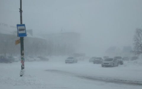 Появилось видео лютой метели, которая обрушилась на север Коми