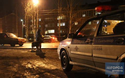Из-за потепления в Сыктывкаре удвоилось количество аварий