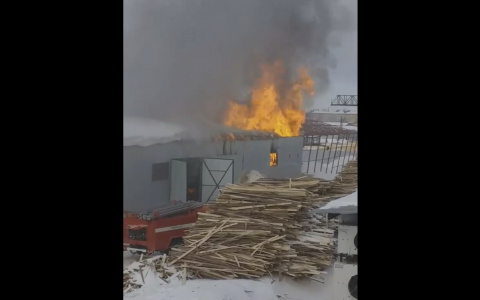 Появилось видео с места крупного пожара на складе под Сыктывкаром