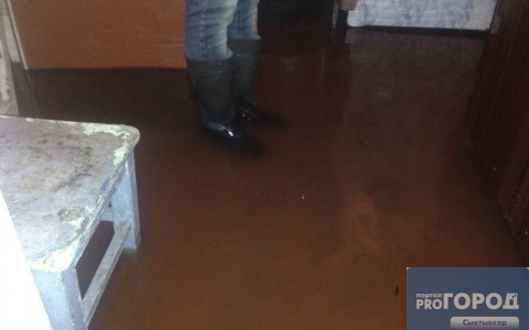 Сыктывкарский юрист рассказала, что делать, если затопили соседи