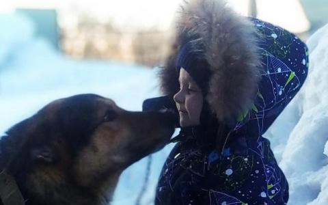 Фото дня от сыктывкарца: встреча с лучшим другом