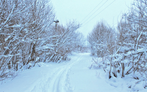 На лыжной базе в Сыктывкаре нашли тело человека