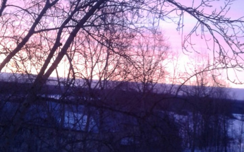 Фото дня в Сыктывкаре: нежно-розовый рассвет над весенним городом