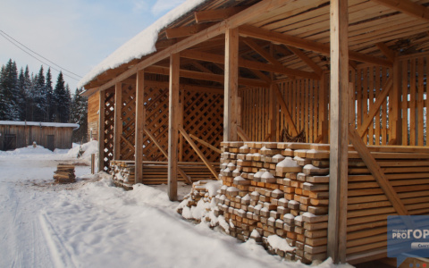 Жителю Коми, которому отрезали руку после случая на лесопилке, заплатят полмиллиона