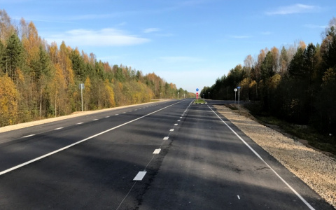 Удмуртский дальнобойщик приехал в Коми и ограбил семь пешеходных переходов