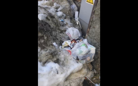 Сыктывкарский общественник рассказал, как нужно решать проблему мусора в городе (видео)