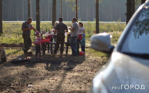 В МЧС Коми рассказали, как нужно жарить шашлык, чтобы не спалить все вокруг