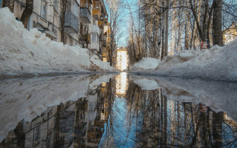 Фото дня в Сыктывкаре: яркое и красочное отражение улицы в луже