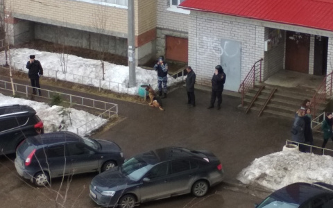 В Сыктывкаре к жилому дому съехались все экстренные службы (фото)
