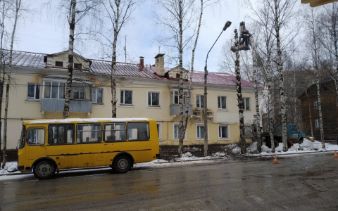 Из-за подземной аварии в центре Сыктывкара спилили деревья (фото)